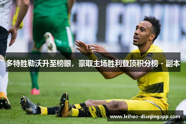 多特胜勒沃升至榜眼，豪取主场胜利登顶积分榜 - 副本