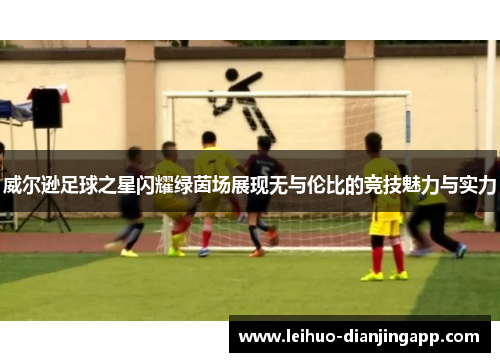 威尔逊足球之星闪耀绿茵场展现无与伦比的竞技魅力与实力